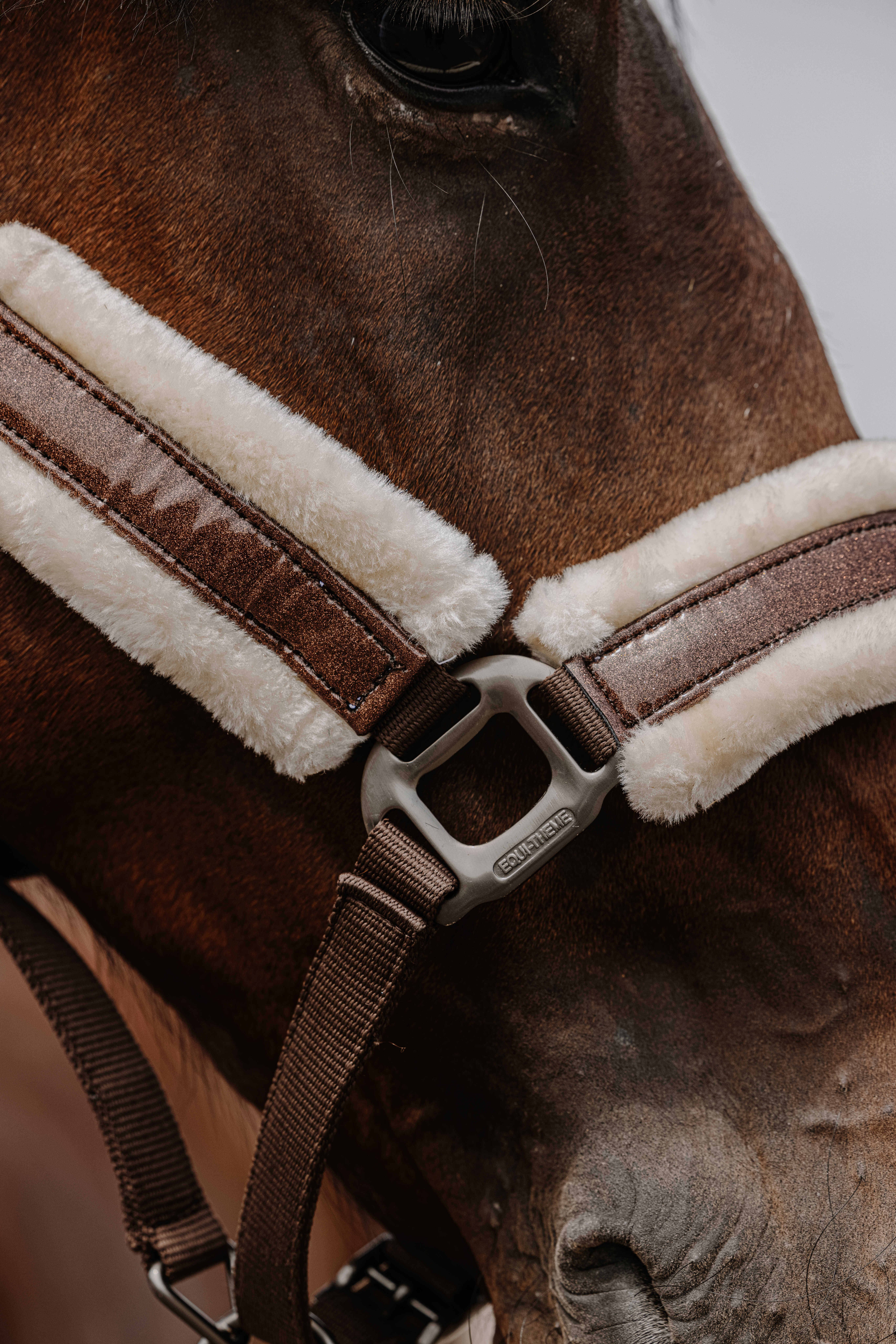 Equitheme Fashion Riimu Chestnut - 4