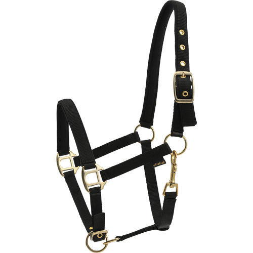 Horse Guard Nylongrimma fodrat svart (Ponny)