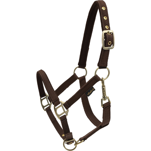 Horse Guard Nylongrimma fodrat Brun (Shetland)