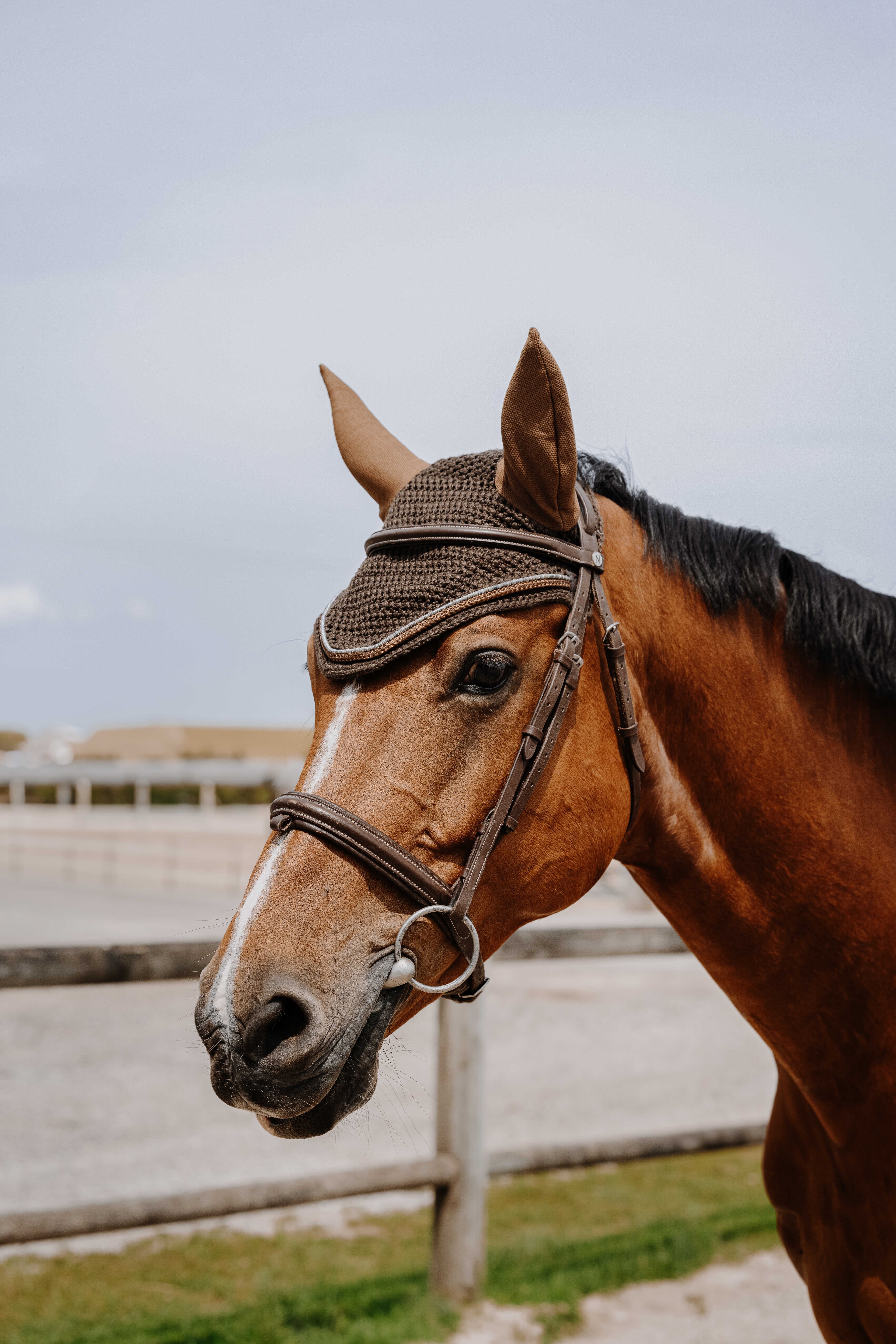 Equitheme Hexalight Fly Veil chestnut brown - 2