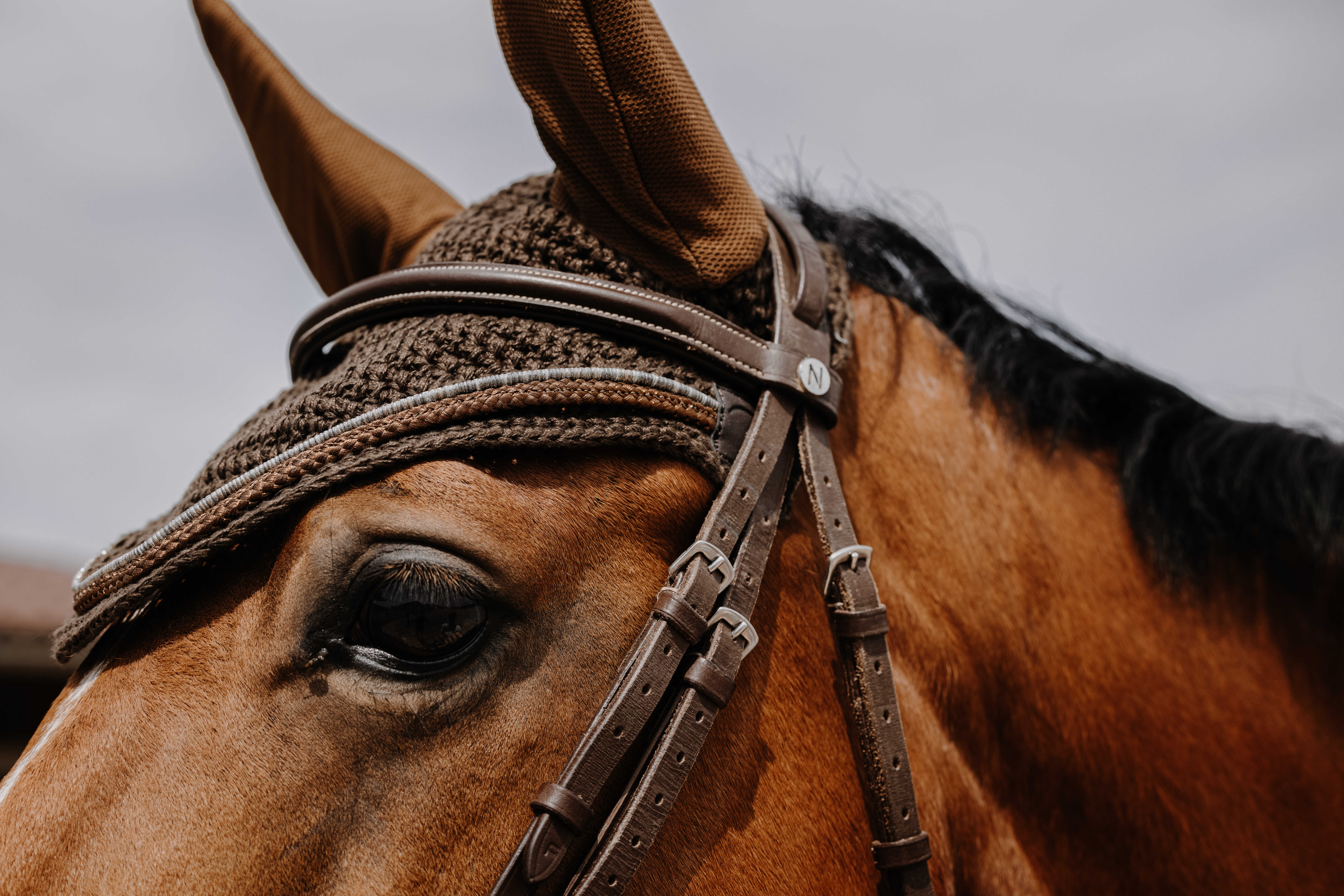 Equitheme Hexalight Fly Veil chestnut brown - 3