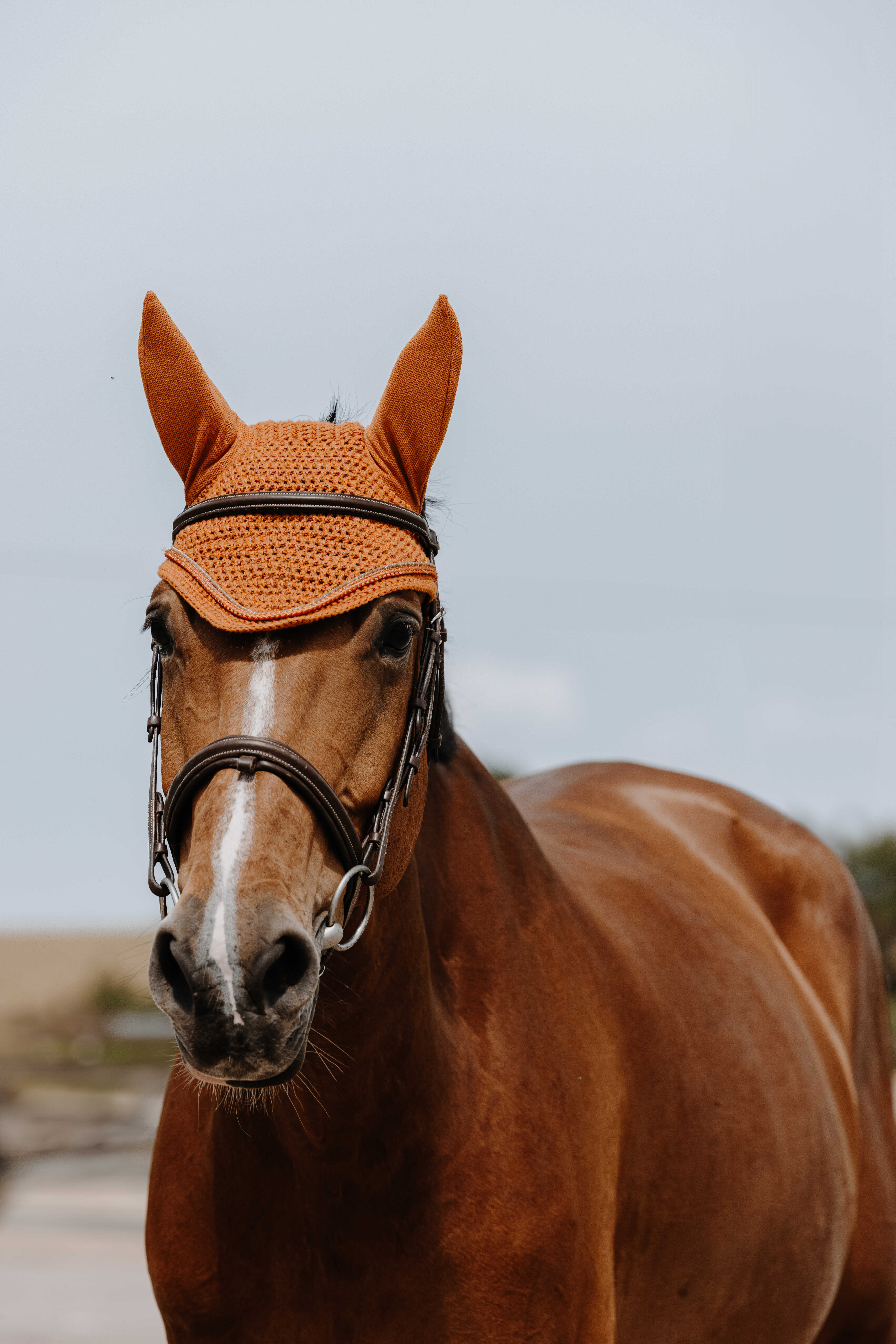 Equitheme Hexalight Fly Veil Rust - 2
