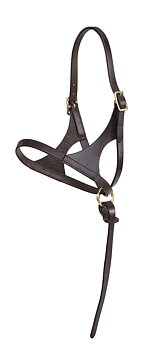 Källquist leather Foal Headcollar - Gen-X