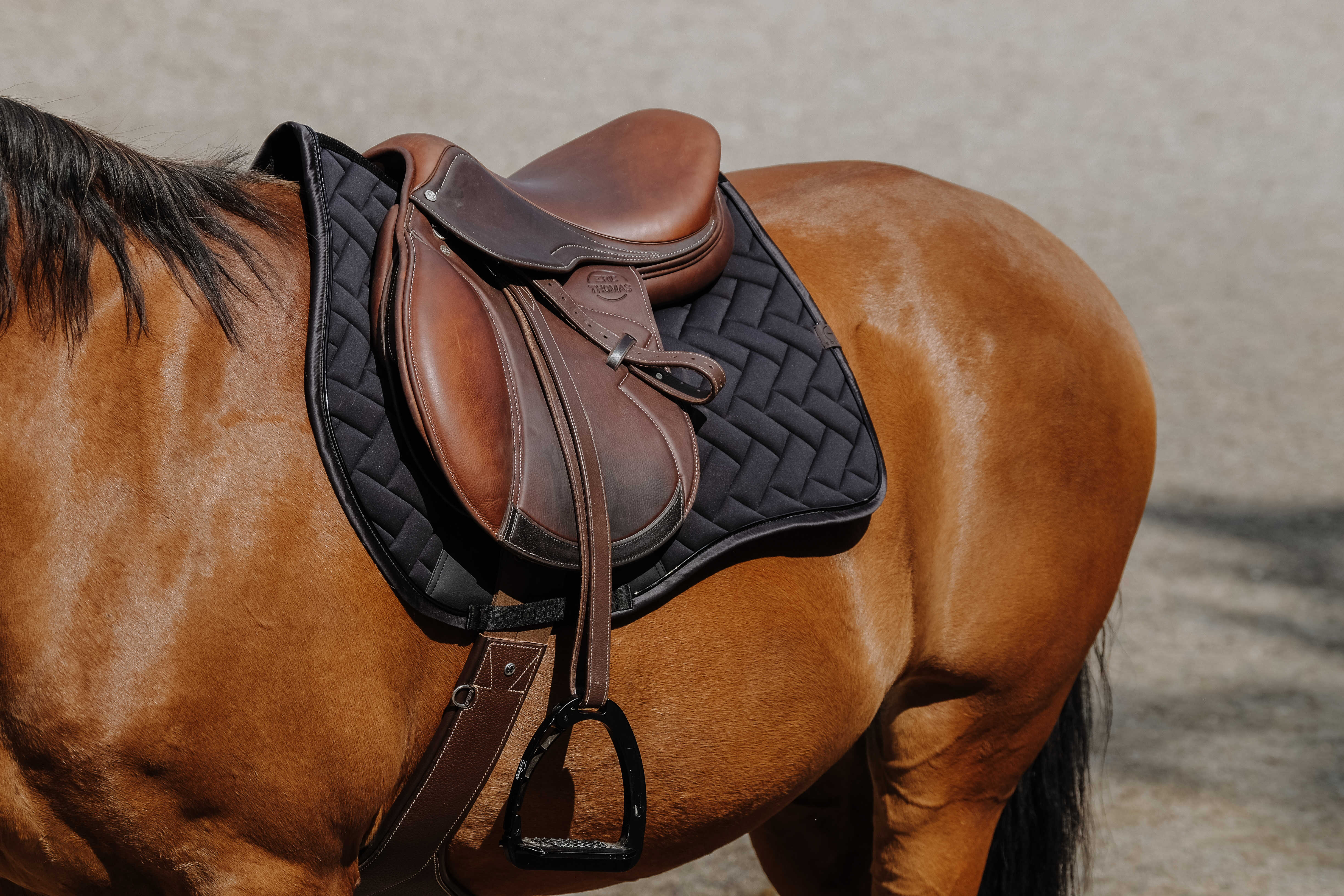 Equitheme Impulsion Satulahuopa Musta - 2
