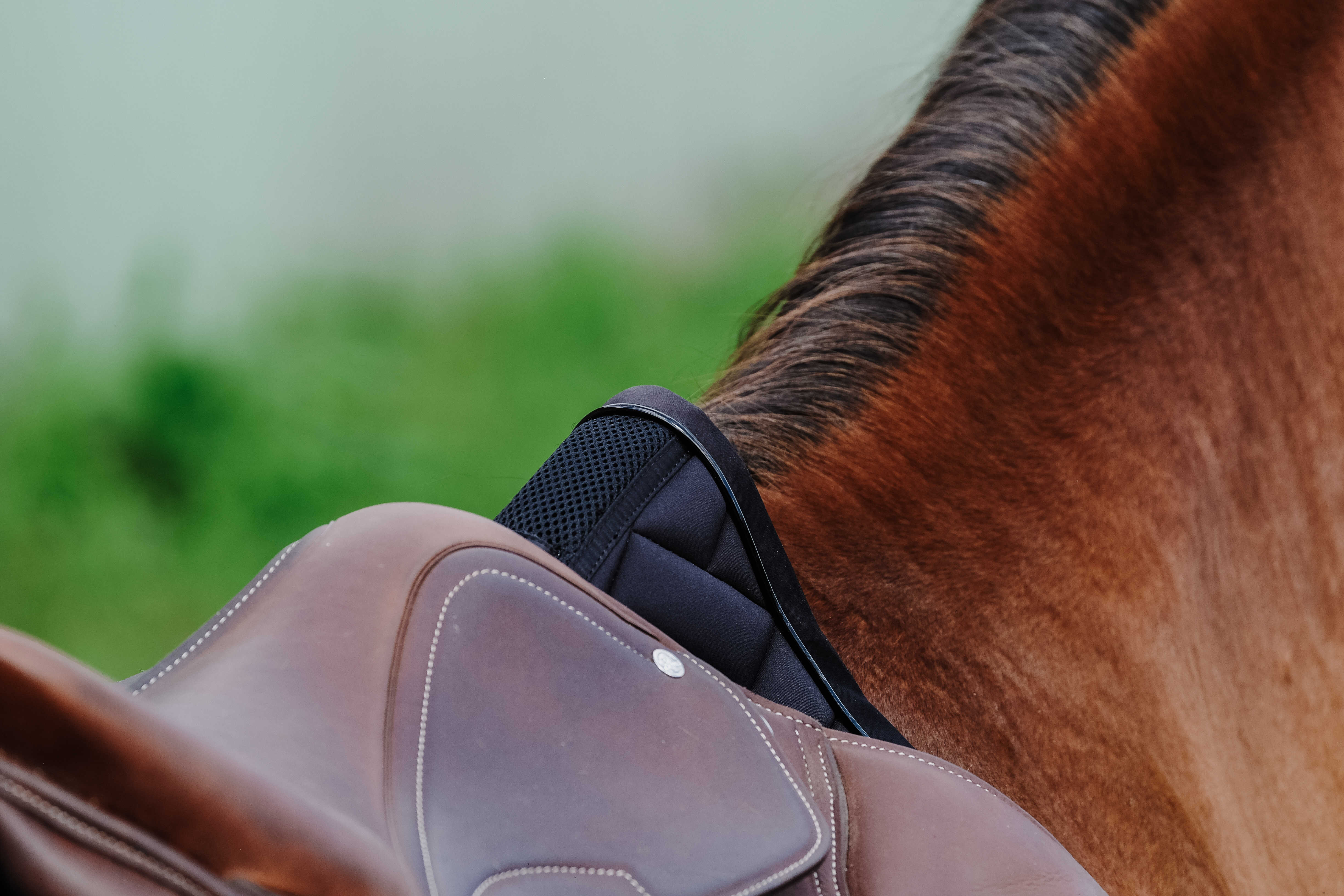 Equitheme Impulsion Satulahuopa Musta - 6