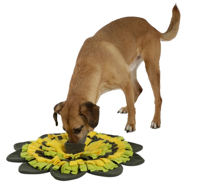 Kerbl Sniff Rug Sunflower - 60 cm