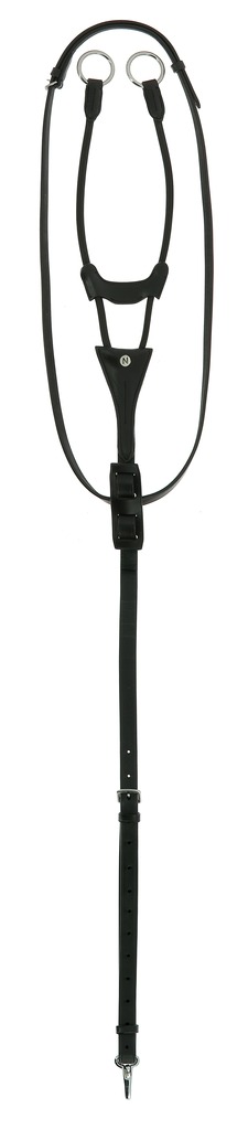 NORTON PRO Elastic Running Martingale Havana - Full size