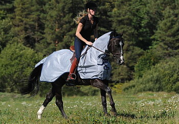 Bucas Buzz-Off Fly Riding Rug - Silver/Blue
