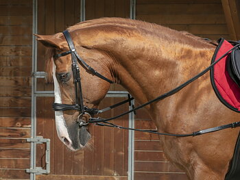 NORTON PRO Short Elastic Side Reins With Pulleys Black - Full size