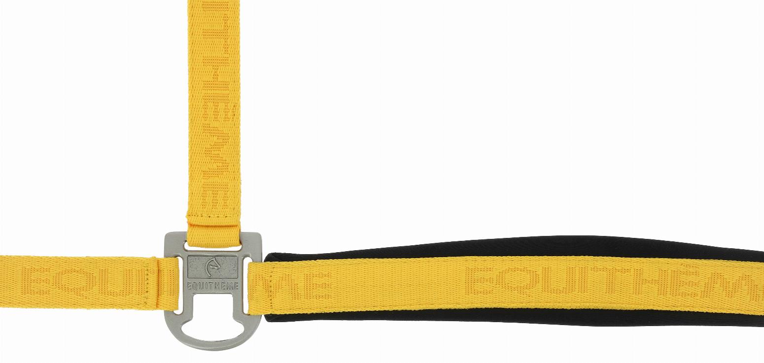 Equithème Jacquard Grimma Guld (Pony)