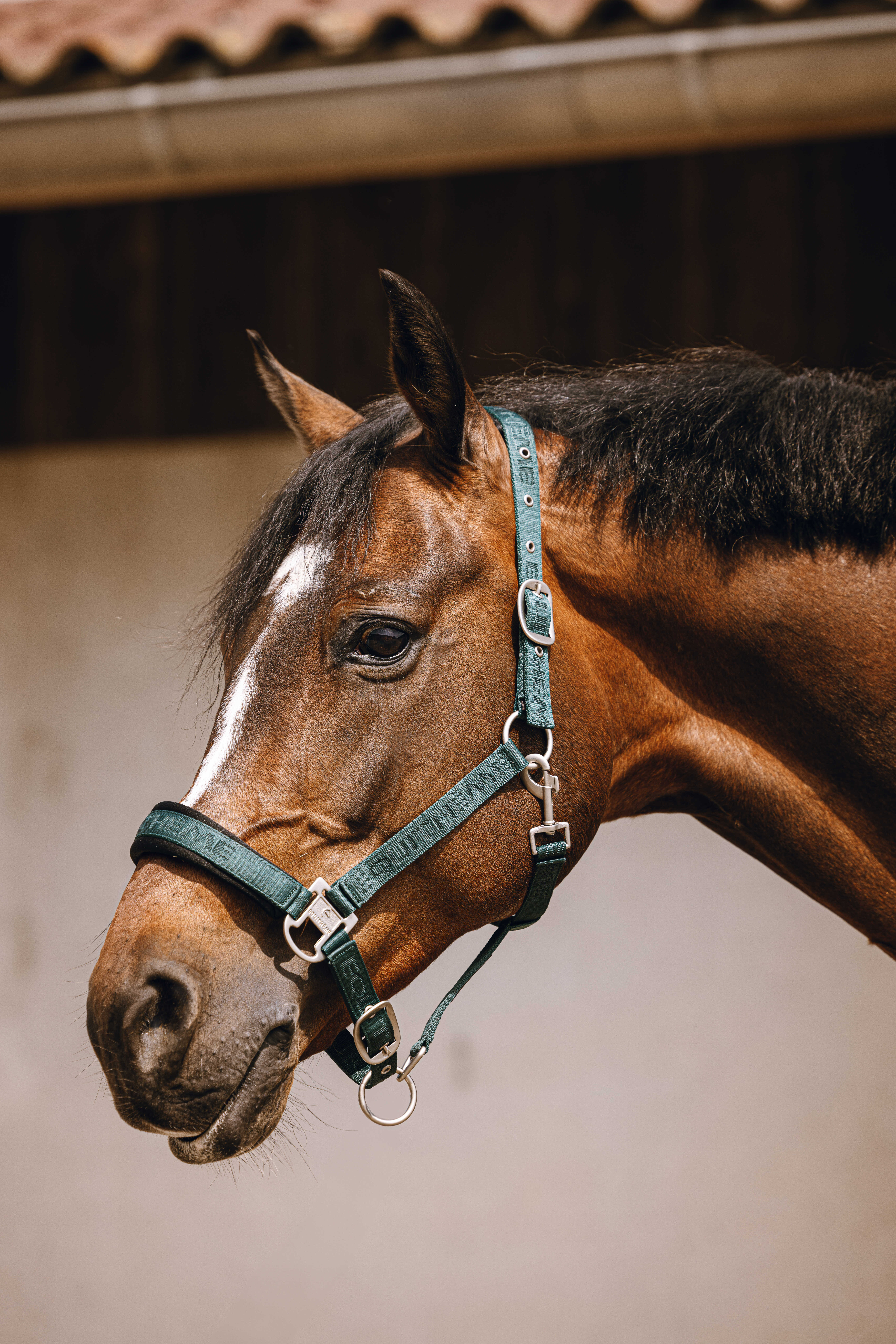 Equitheme Jacquard Riimu Vihreä - 2
