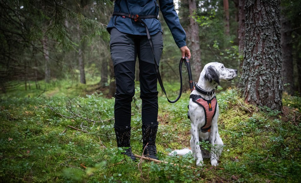 Non-stop Dogwear Touring Bungee Koppel - Adjustable - 5