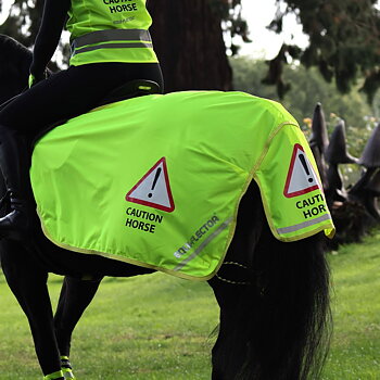 Shires Equi-Flector exercise sheet - mesh reflective lumbar blanket - Yellow, 145