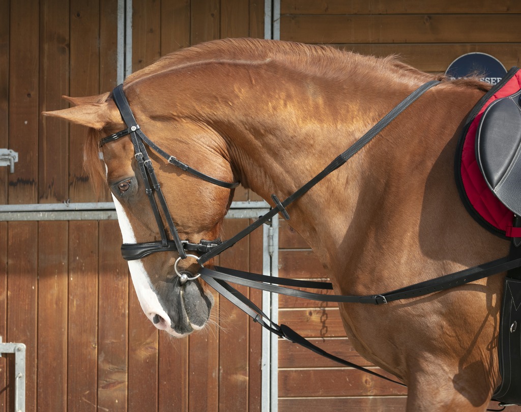 NORTON CLUB Vienna Reins Black - Full size