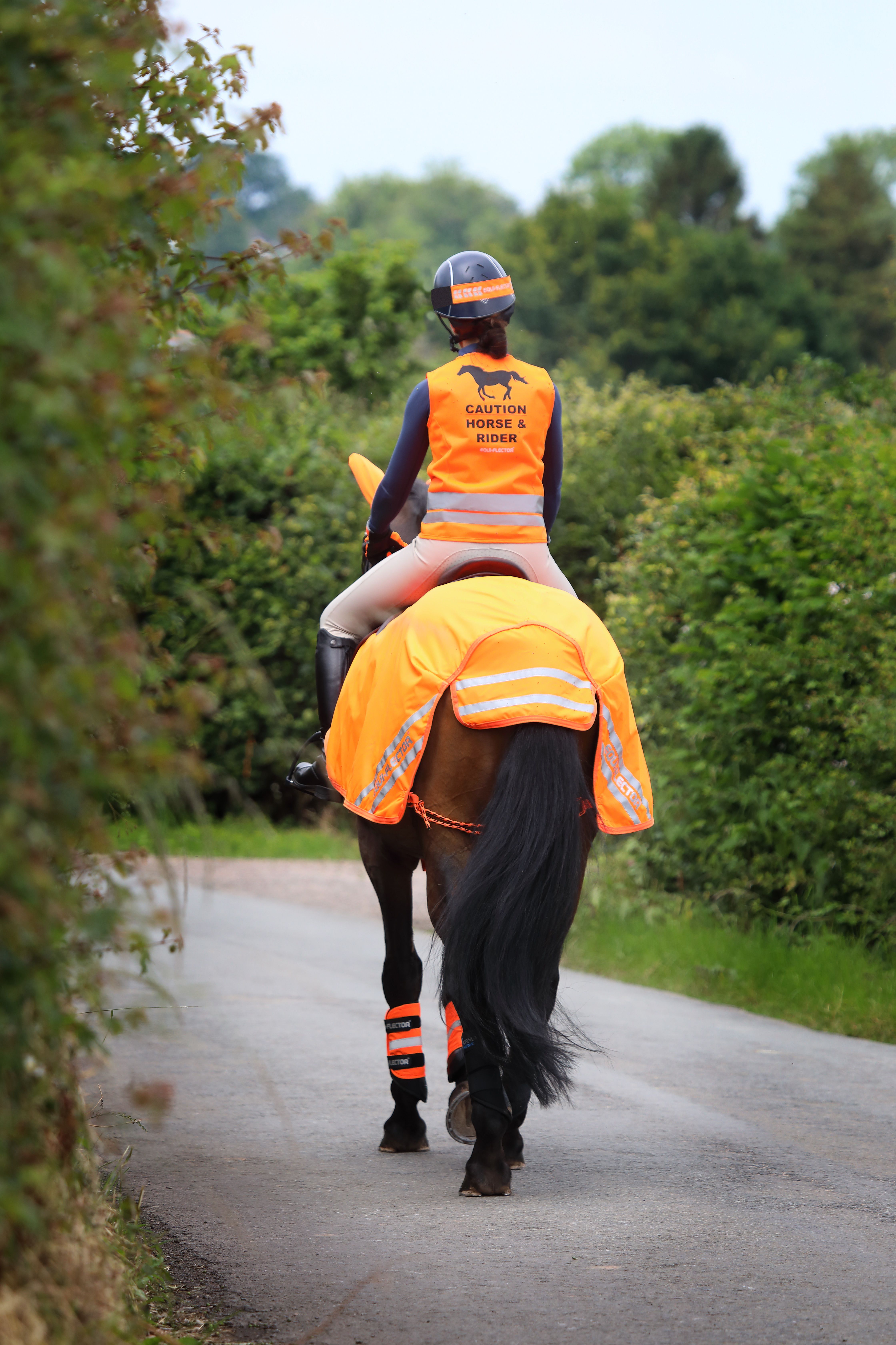  Equi-Flector exercise sheet - mesh reflective lumbar blanket - Orange, 130 - 2