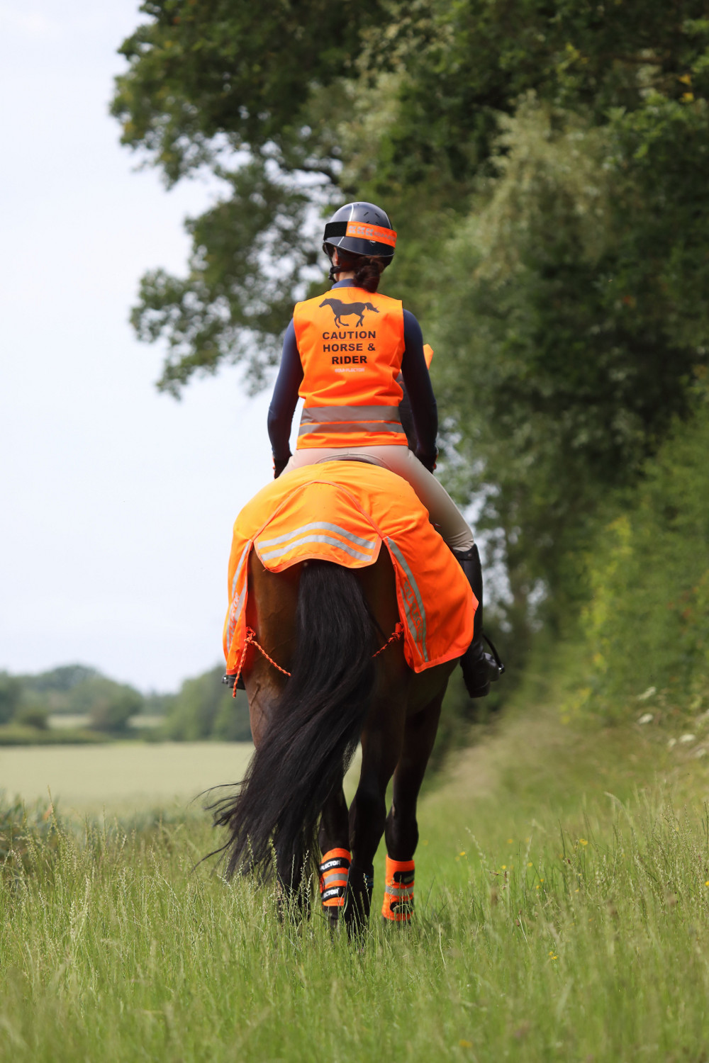  Equi-Flector exercise sheet - mesh reflective lumbar blanket - Orange, 130