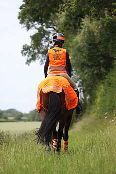  Equi-Flector exercise sheet - mesh reflective lumbar blanket - Orange, 130