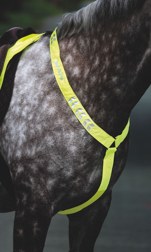 Equi-Flector Heijastava Rintaremmi - Keltainen, Poni/Cob - 2