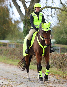 Equi-Flector Reflex Breastplate - Yellow, Pony/Cob