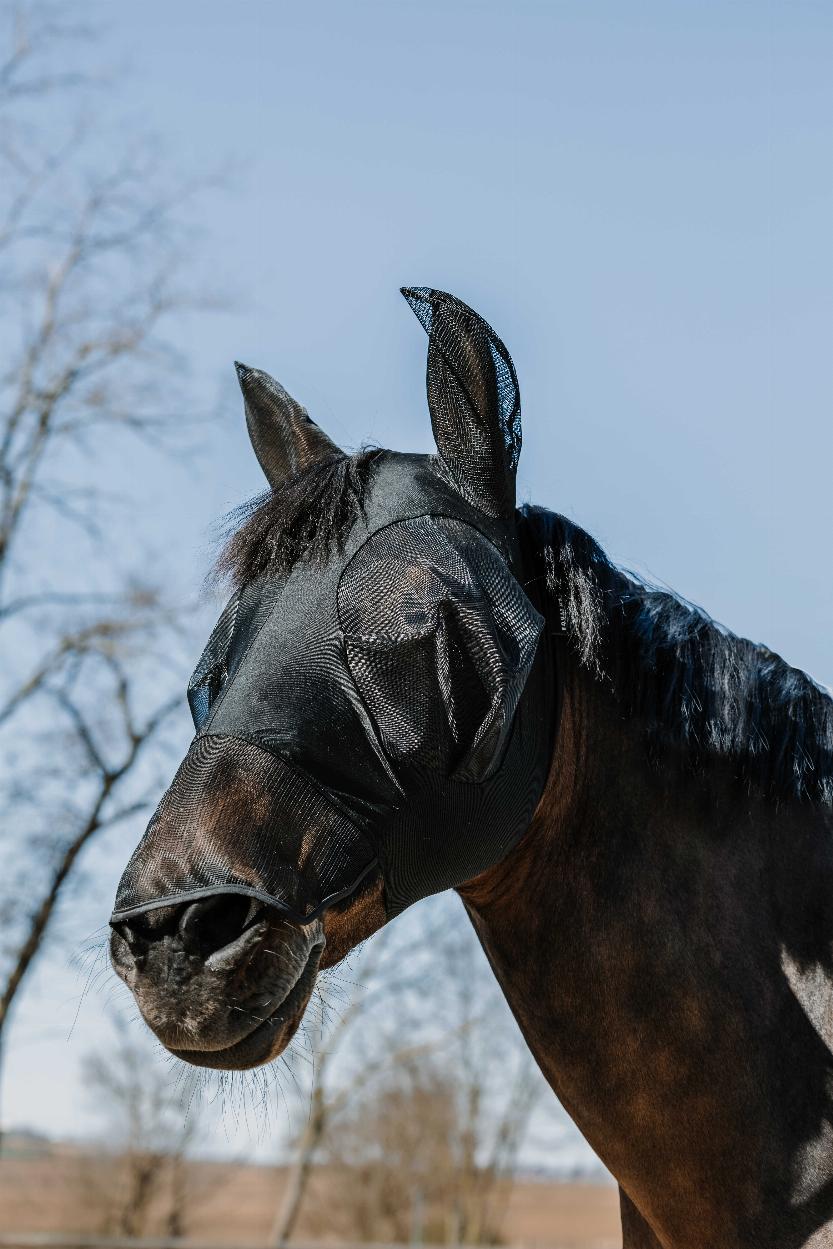Equitheme Lycra UV/Fly Hood with Nose Black