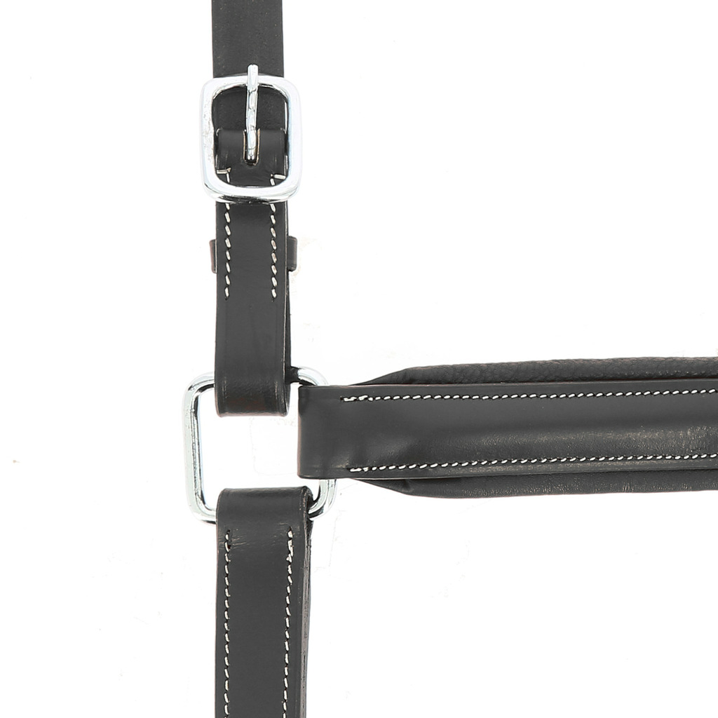 NORTON PRO Anatomisk Grimma Svart - 3