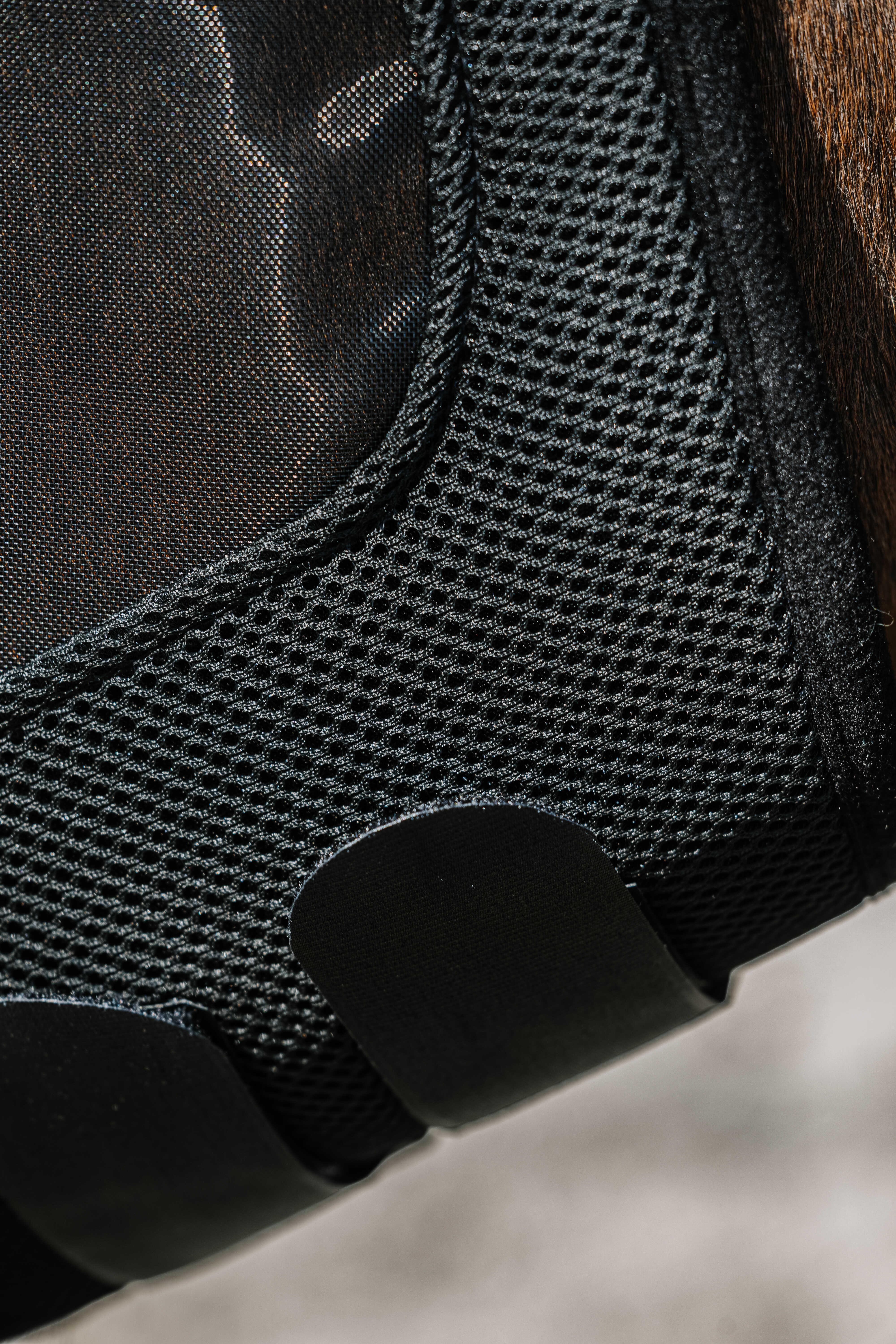 Equitheme Mesh UV/Flughuva utan Öron Svart - 3
