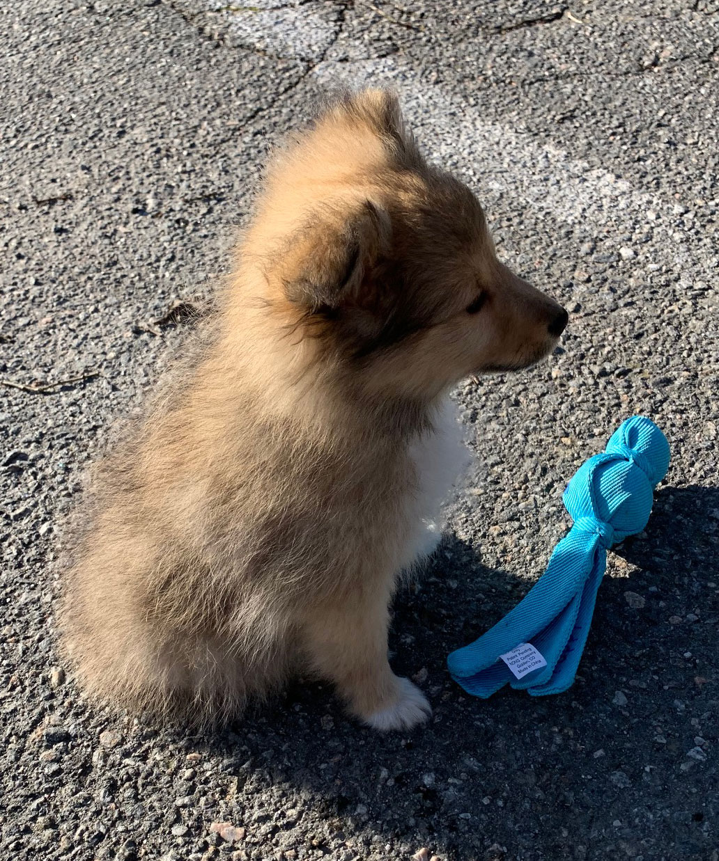 Kong Wubba Puppy för Valp - 7