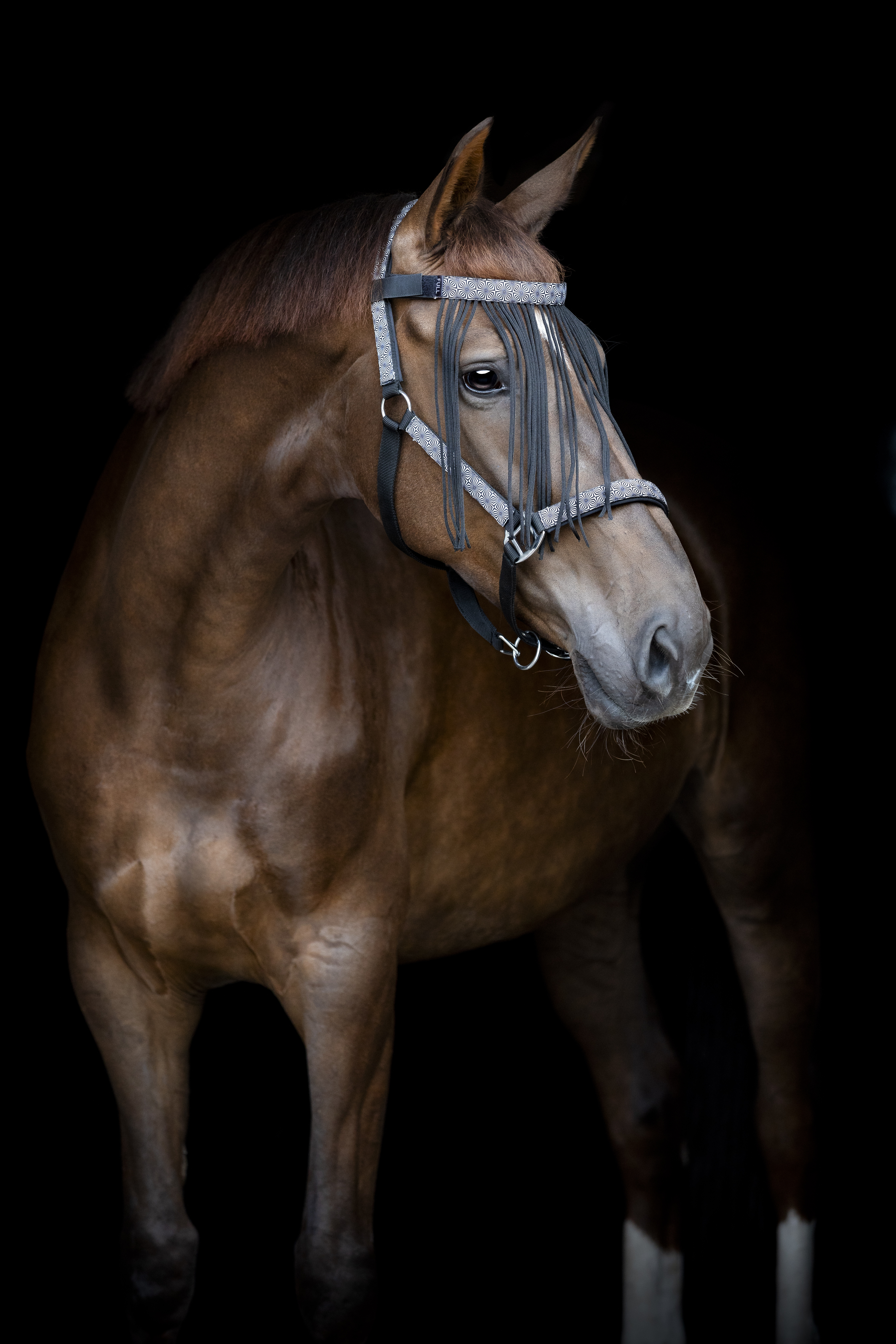 HorseGuard Madison Flugpannband - Svart (FULL)