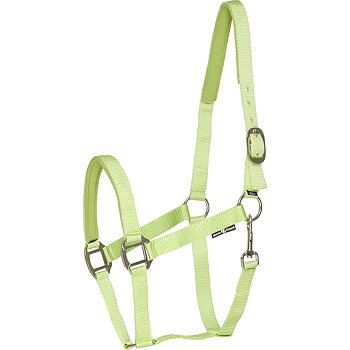 Horse Guard Nylon halter lime