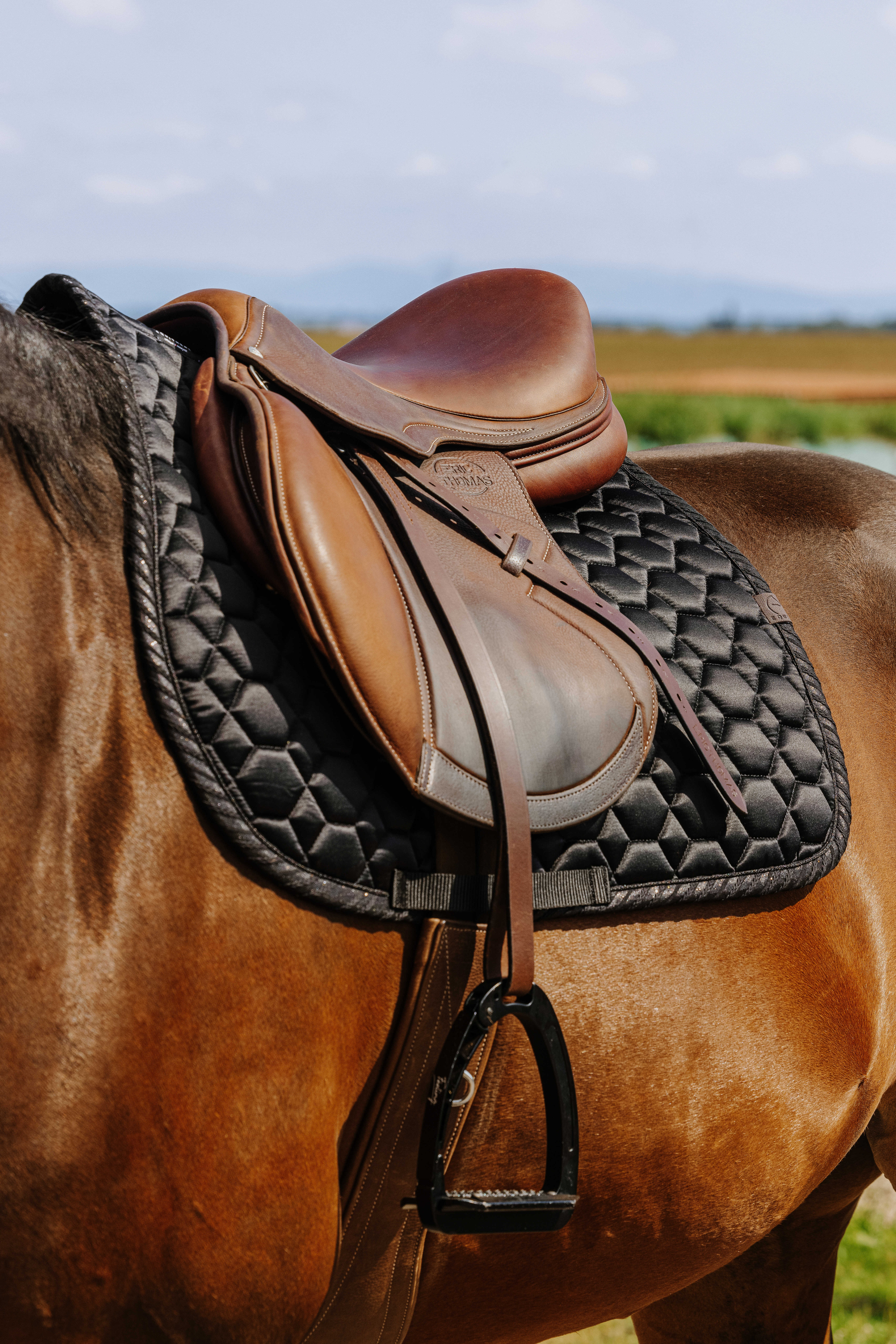Equitheme Pretty Satulahuopa Musta - 3