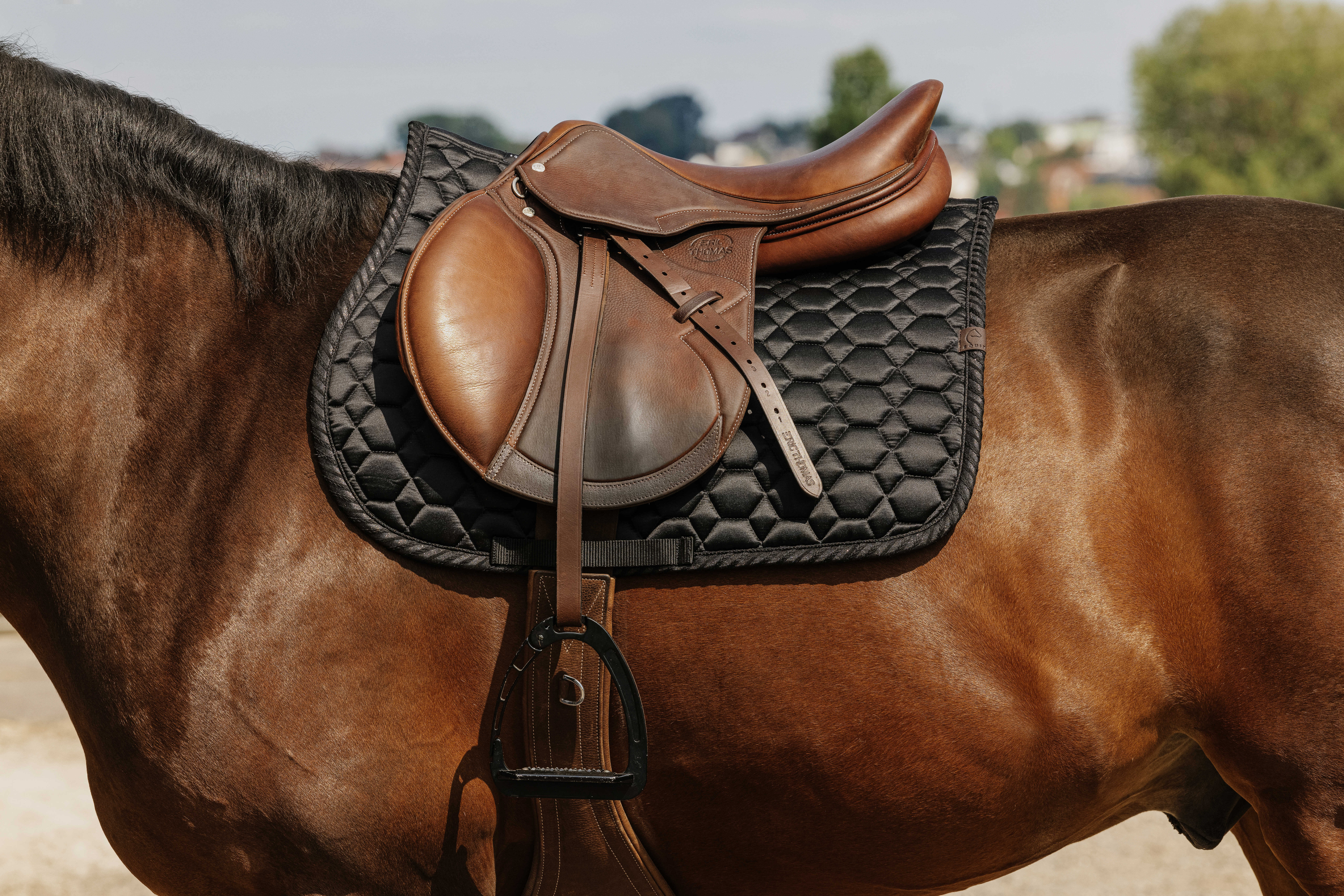 Equitheme Pretty Satulahuopa Musta - 2