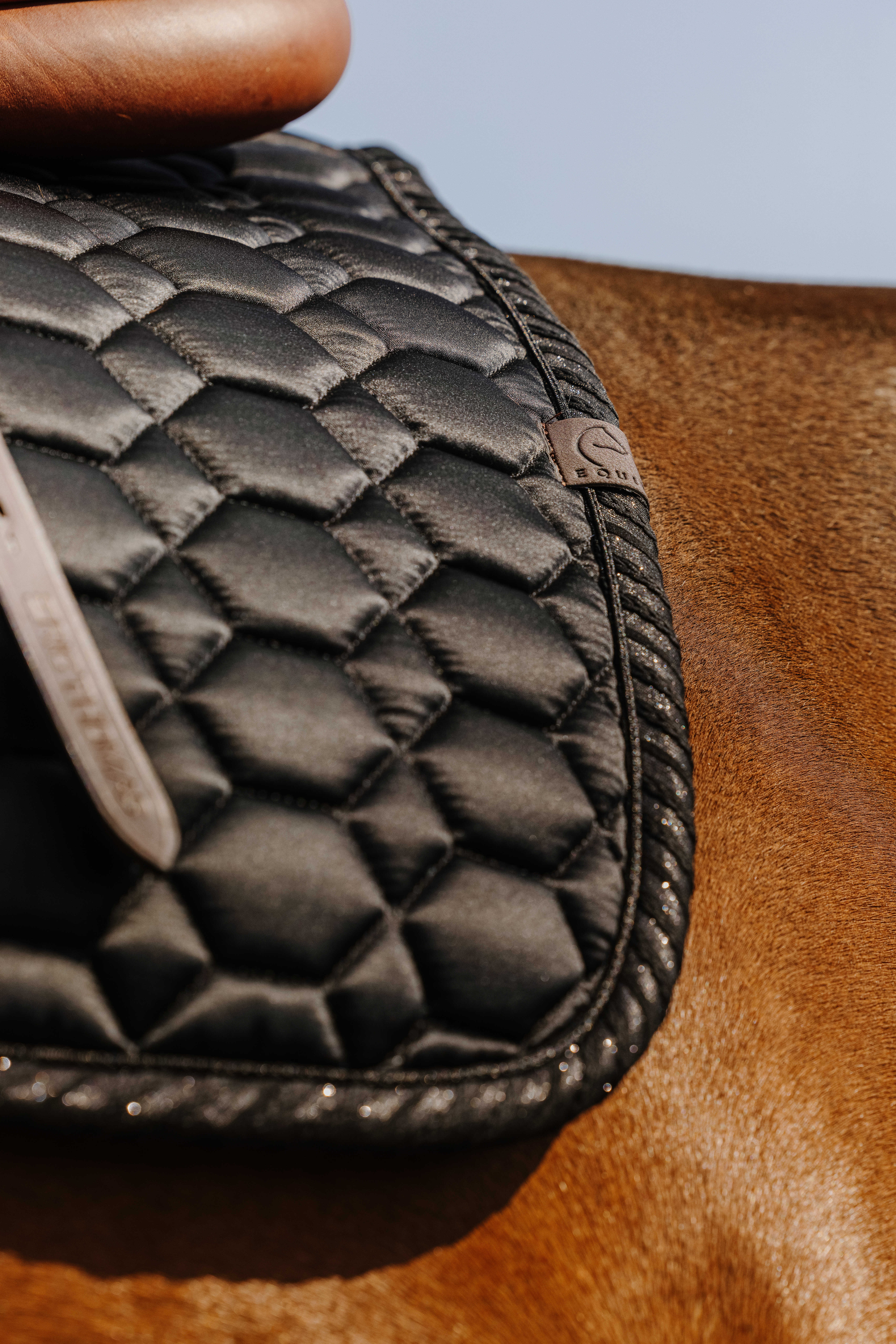 Equitheme Pretty Schabrak Svart - 4