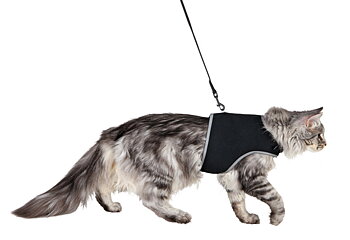 Trixie- Soft cat harness + leash - XXL cats
