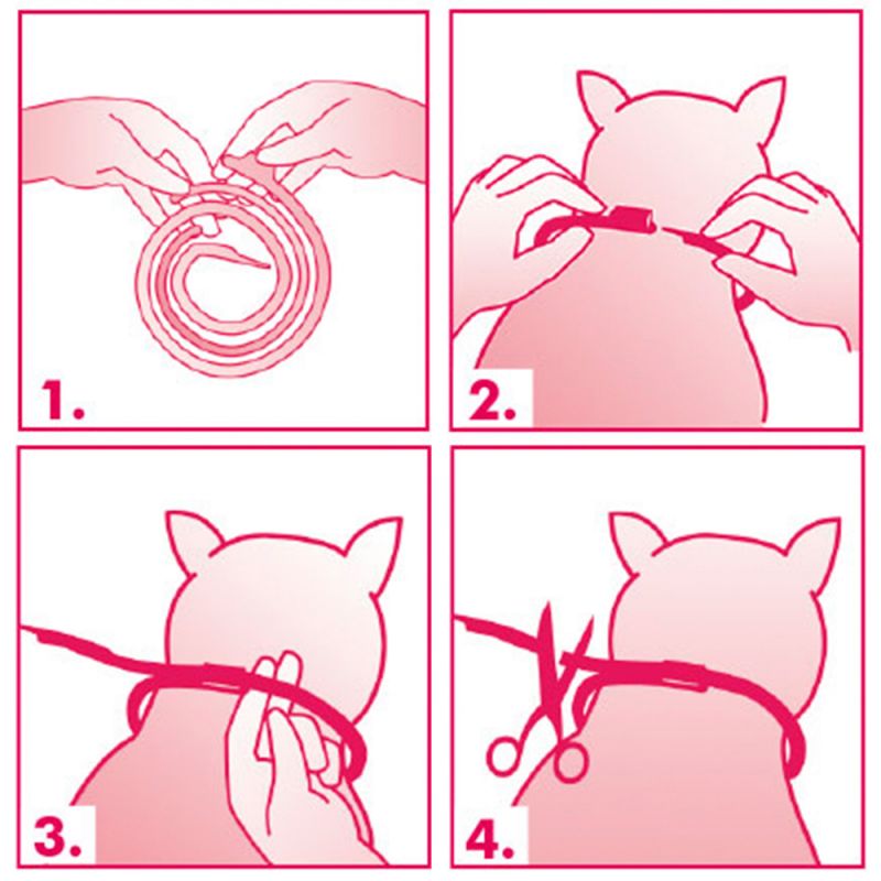 Canosept -  Calming Collar Home Comfort- Koira - 2