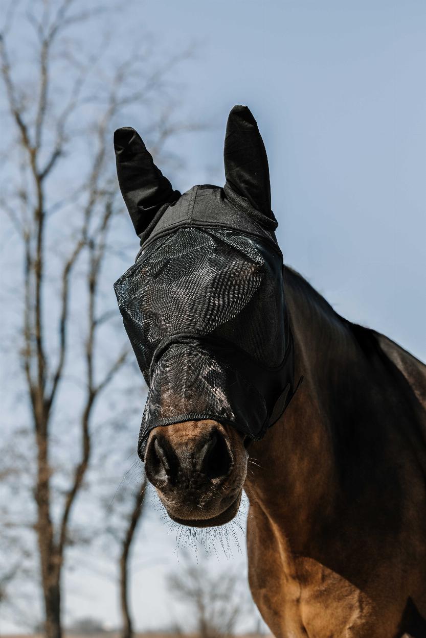Equitheme Soft UV/Fly Hood with Nose Black