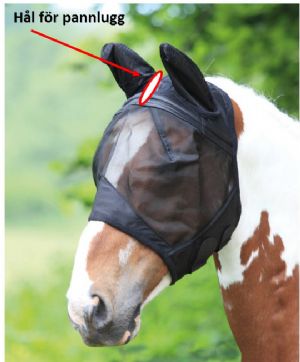 Shire fly hood with ears and open forelock - Black - 2