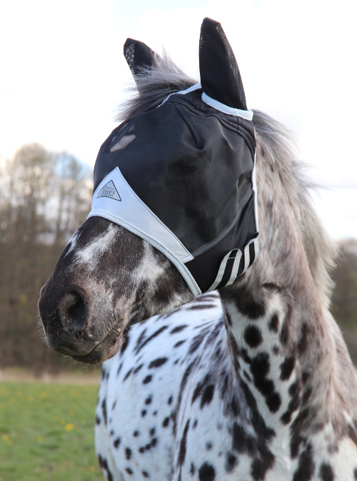 Shire fly hood with ears and open forelock - Black - 5