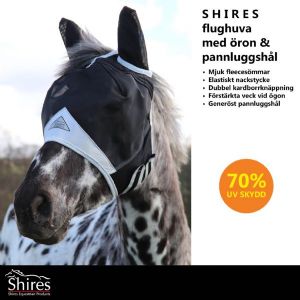 Shire fly hood with ears and open forelock - Black - 4