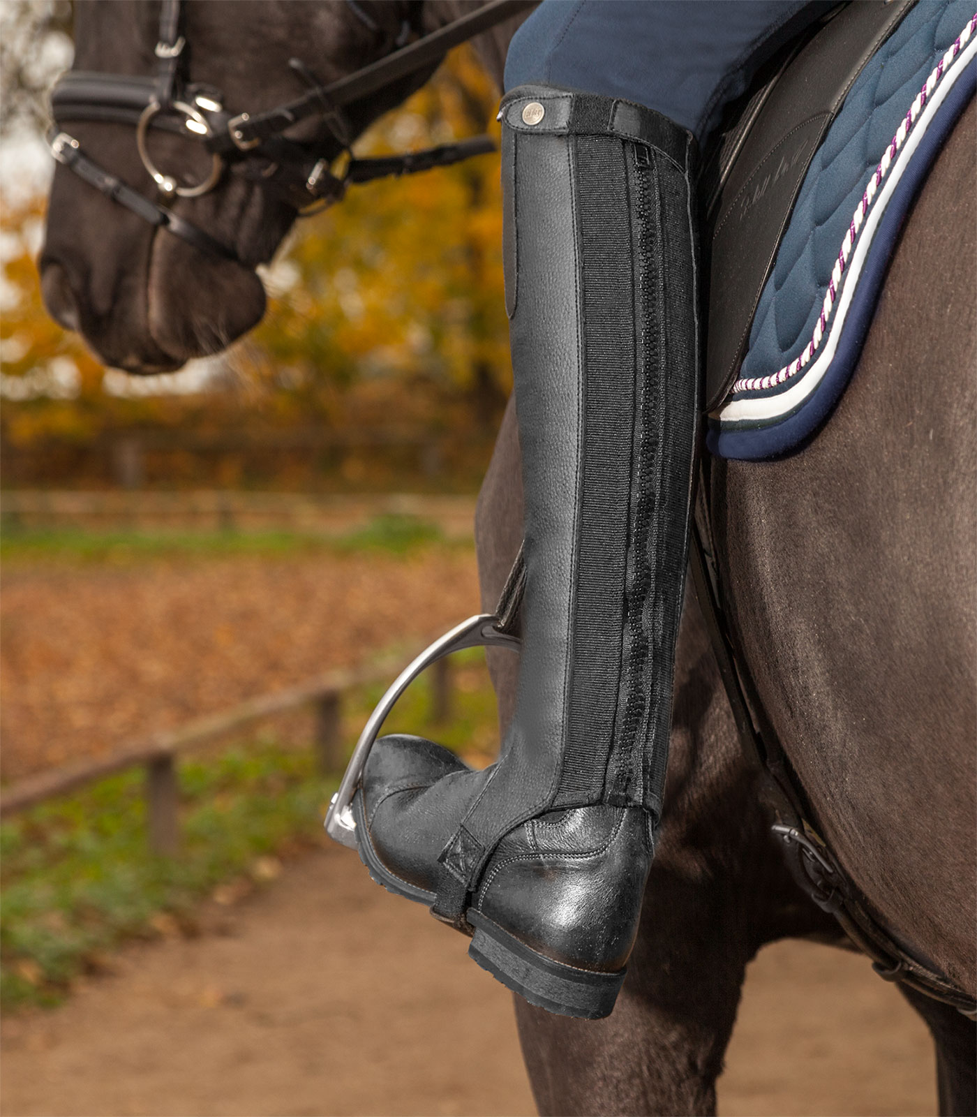 Waldhausen Mini Chaps Exclusive schwarz - 3