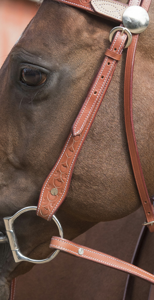 Randols Two Tone Bridle - Chestnut/Natural  - 4