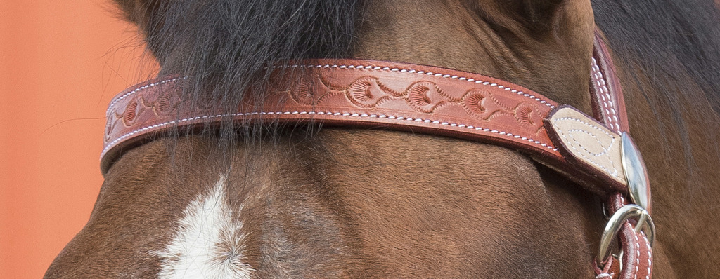 Randols Two Tone Bridle - Chestnut/Natural  - 5