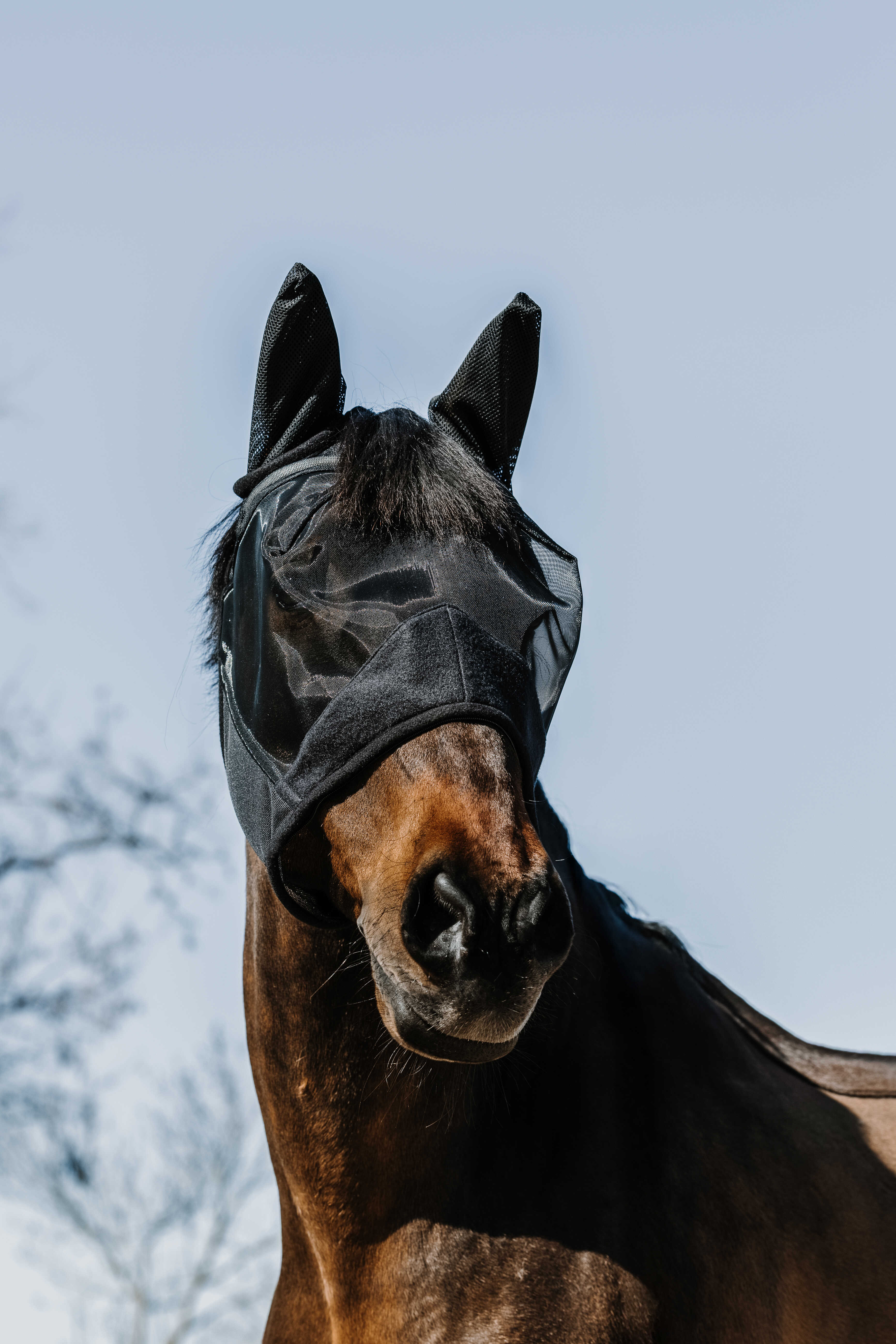 Equitheme Supercut Fly Hood Black - 2