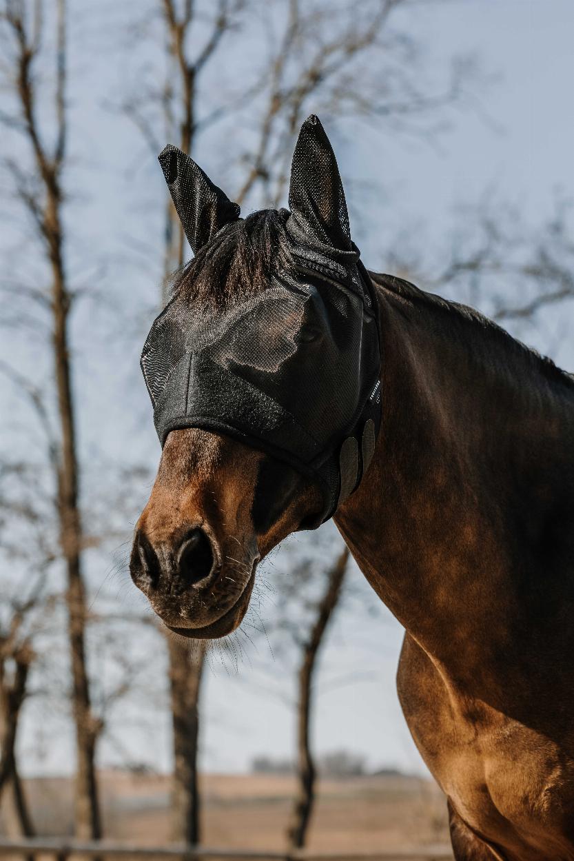 Equitheme Supercut Fly Hood Black