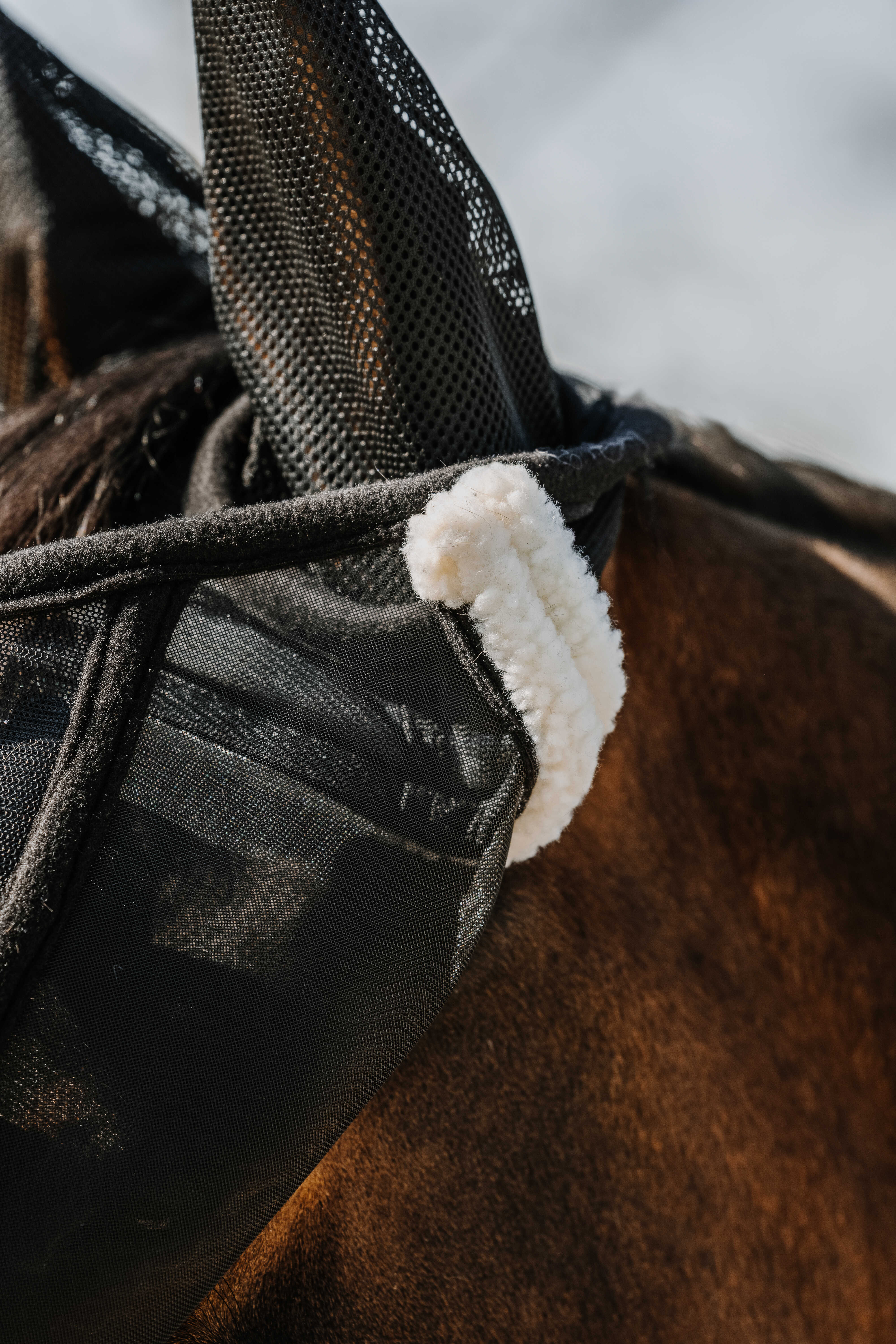 Equitheme Supercut Fly Hood Black - 3