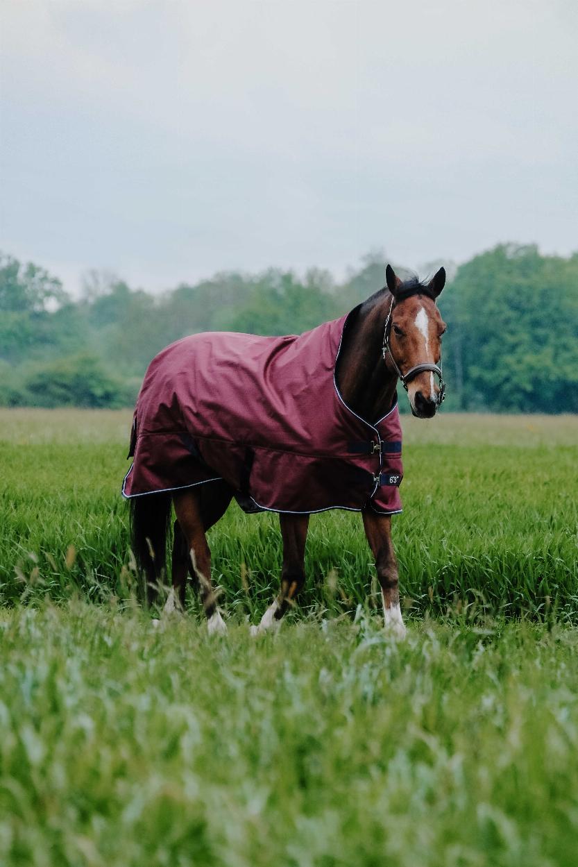Equitheme Tyrex 1200 D High Neck Turnout Rug with Half Neck Burgundy