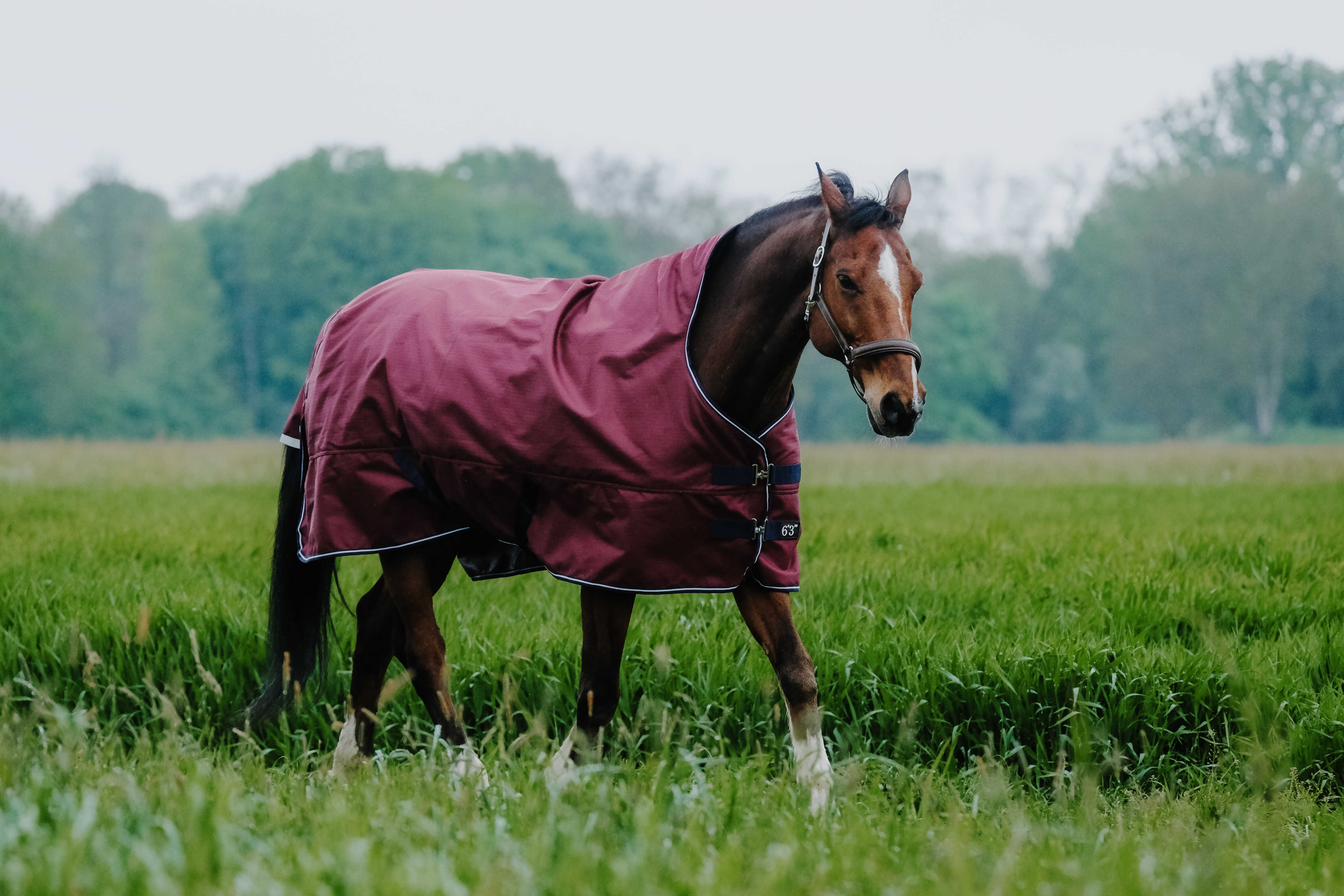 Equitheme Tyrex 1200 D High Neck Turnout Rug with Half Neck Burgundy - 3