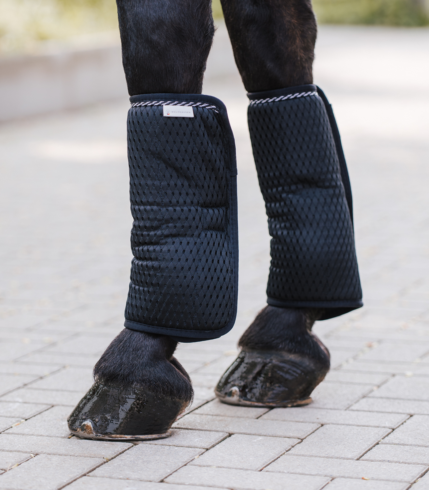 Waldhausen Breath bandage pads, 28x36cm, pair black