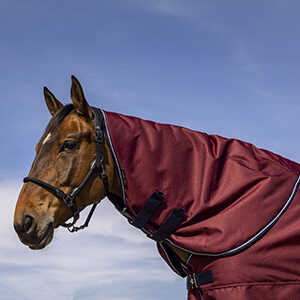 Equitheme Tyrex 1200 D Detachable Neck, 200 g Burgundy