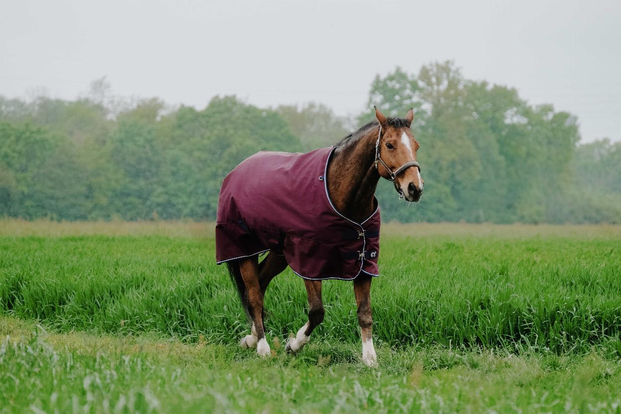 Equitheme Tyrex 1200 D Turnout Rug Burgundy