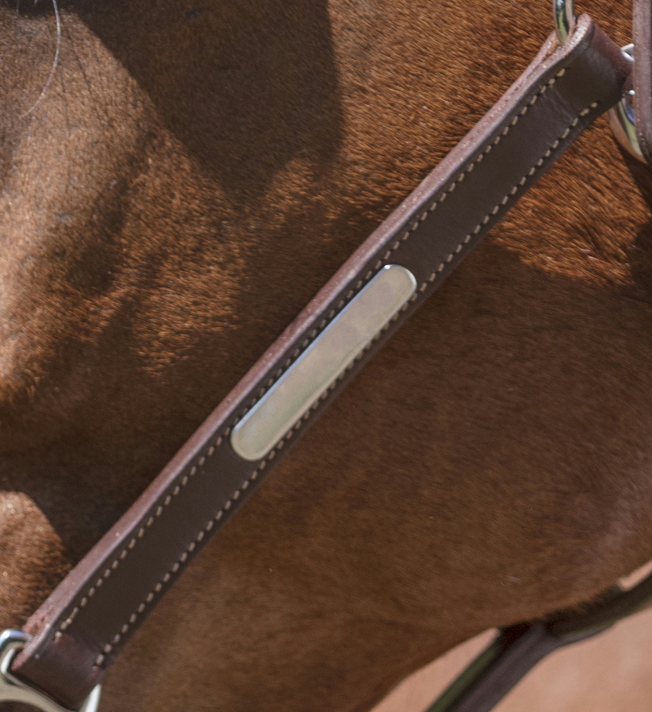 NORTON PRO Grooming Leather Headcollar Havana - 5